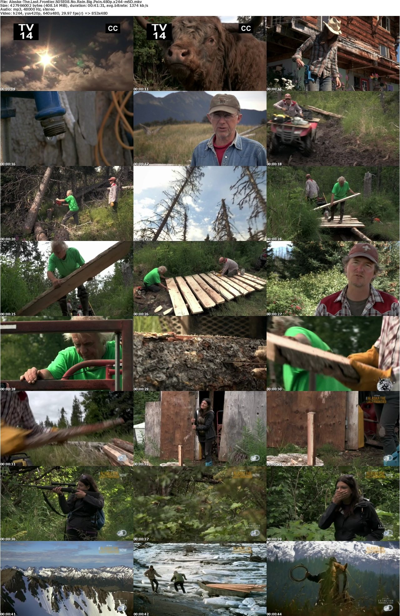 Alaska-The Last Frontier S05E08 No Rain Big Pain 480p x264-mSD