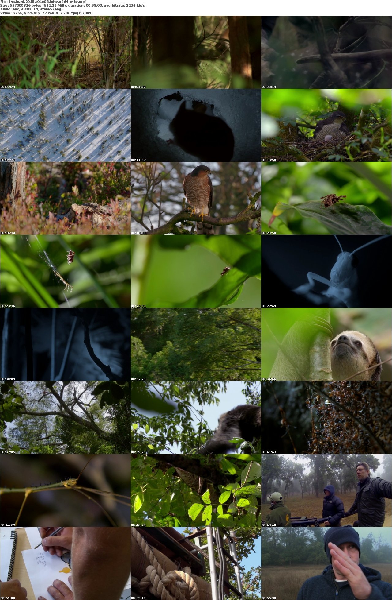 The Hunt 2015 S01E03 HDTV x264-C4TV