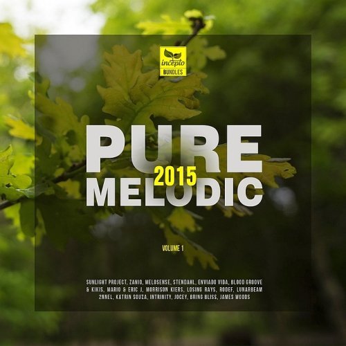 VA - Pure Melodic 2015 Vol. 1 (2015)