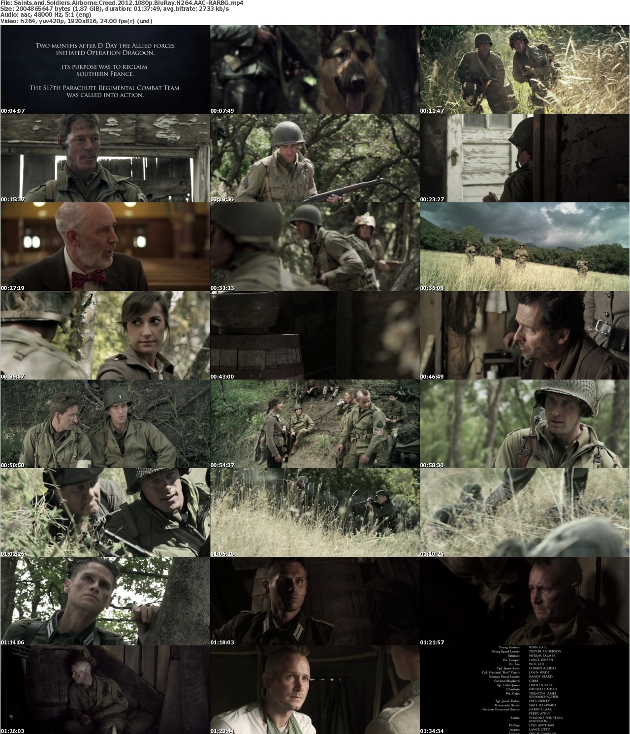 Saints and Soldiers Airborne Creed 2012 1080p BluRay H264 AAC-RARBG