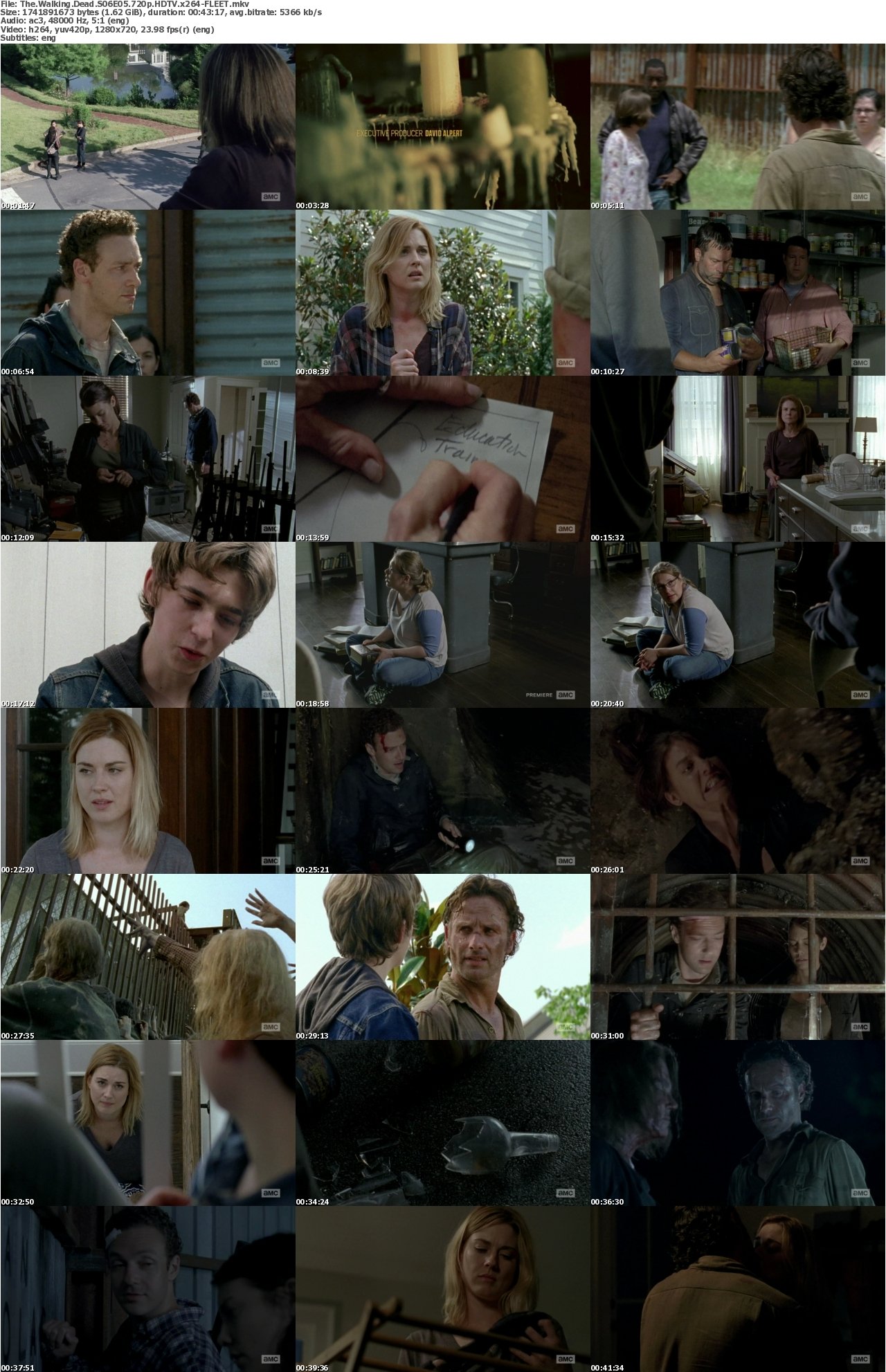 The Walking Dead S06E05 720p HDTV x264-FLEET