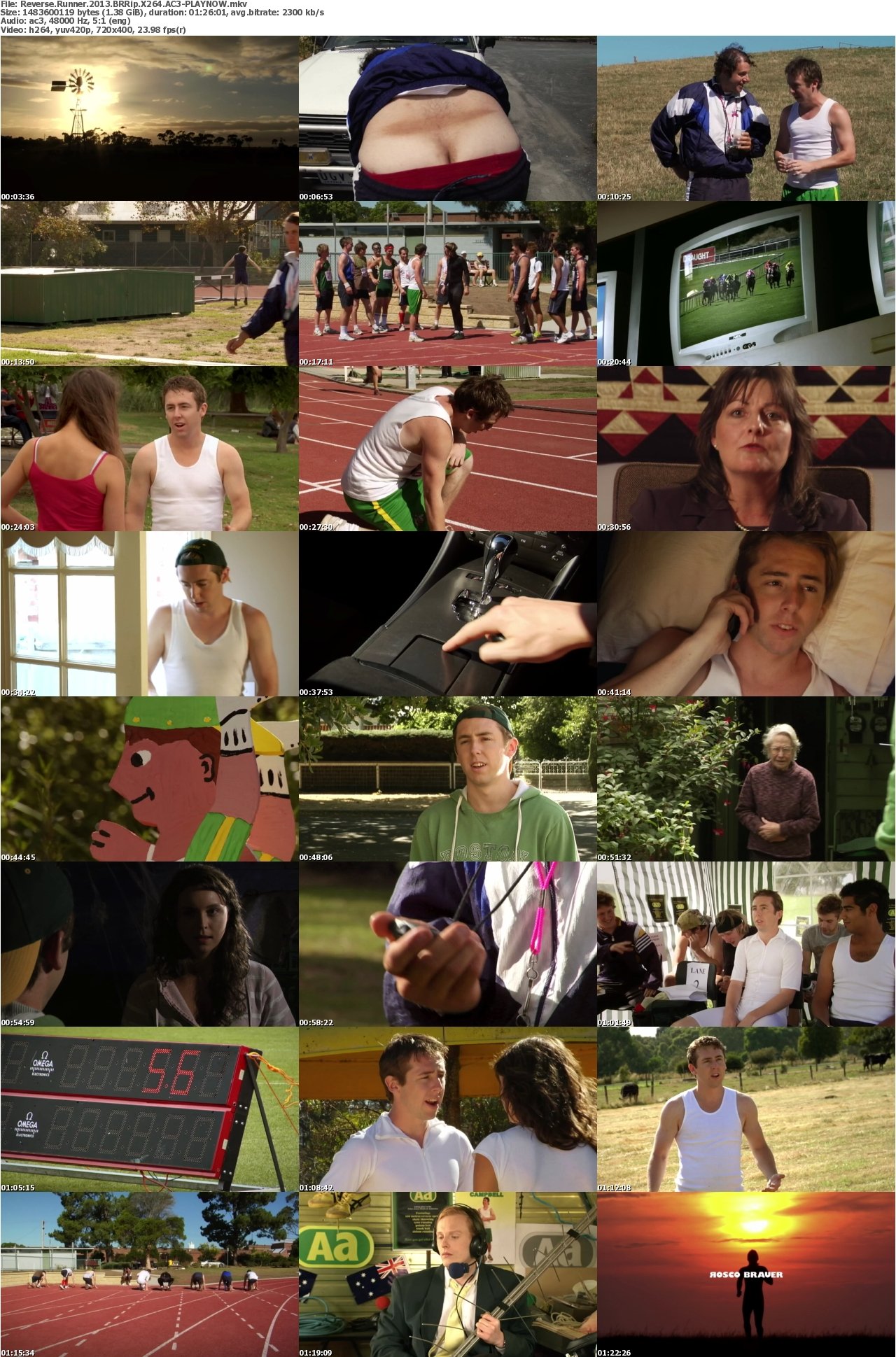 Reverse Runner 2013 BRRip X264 AC3-PLAYNOW
