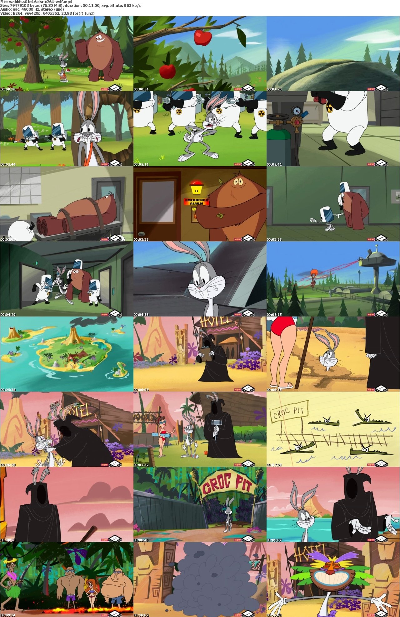 Wabbit S01E16 DSR x264-W4F
