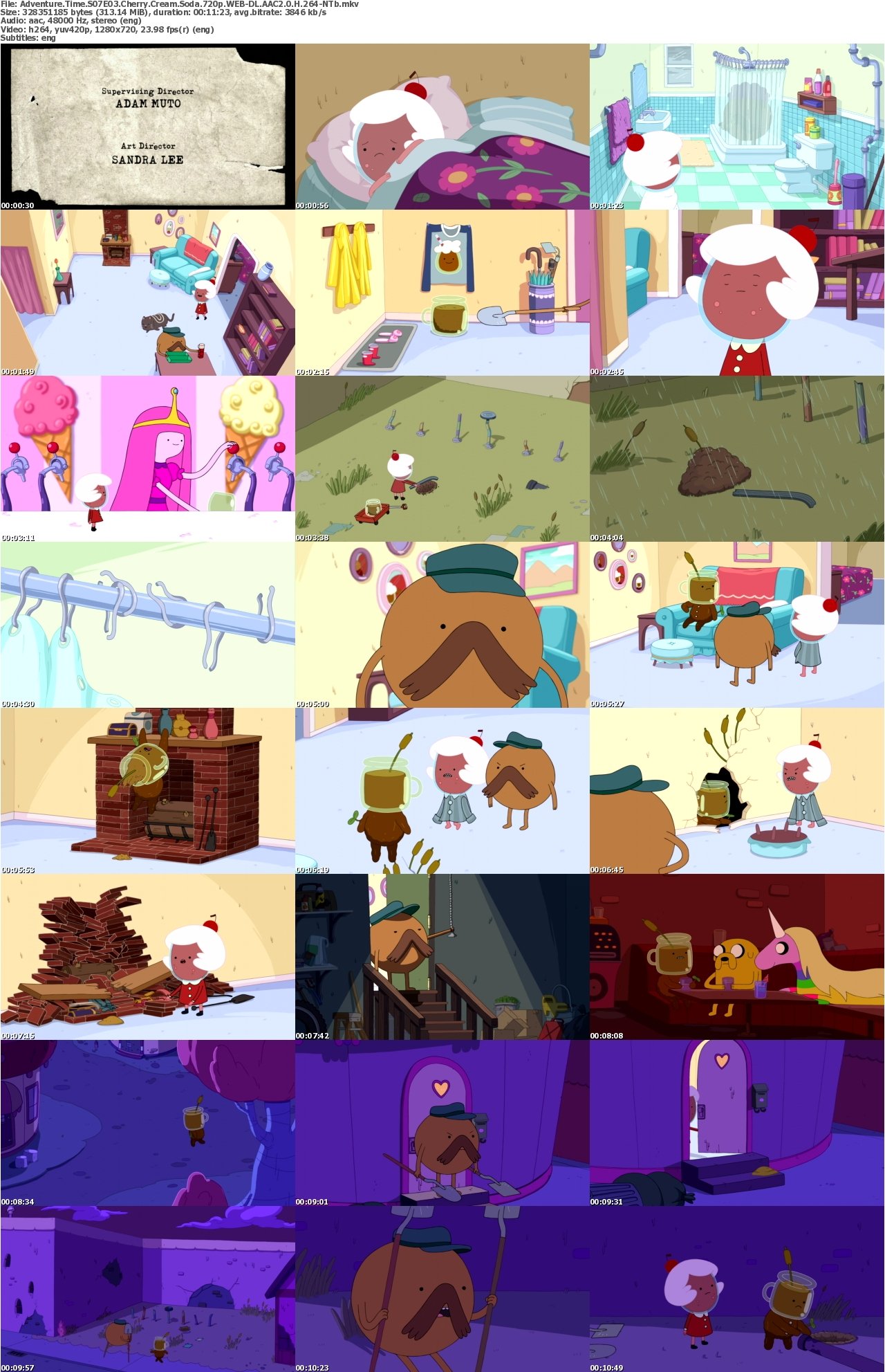 Adventure Time S07E03 Cherry Cream Soda 720p WEB-DL AAC2 0 H 264-NTb