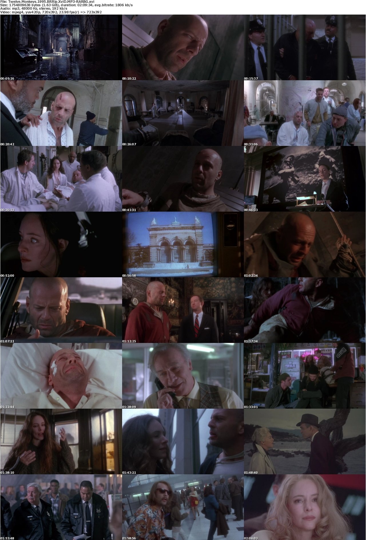 Twelve Monkeys 1995 BRRip XviD MP3-RARBG