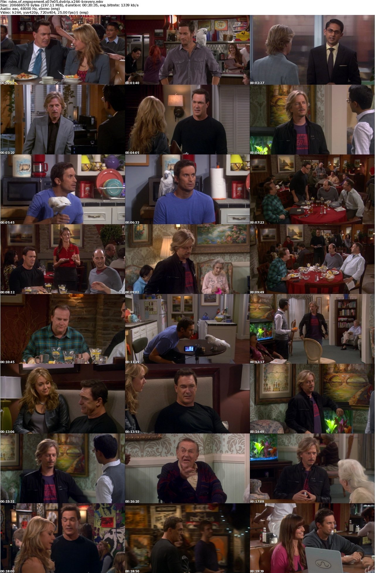 Rules of Engagement S07E05 DVDRip x264-BRAVERY
