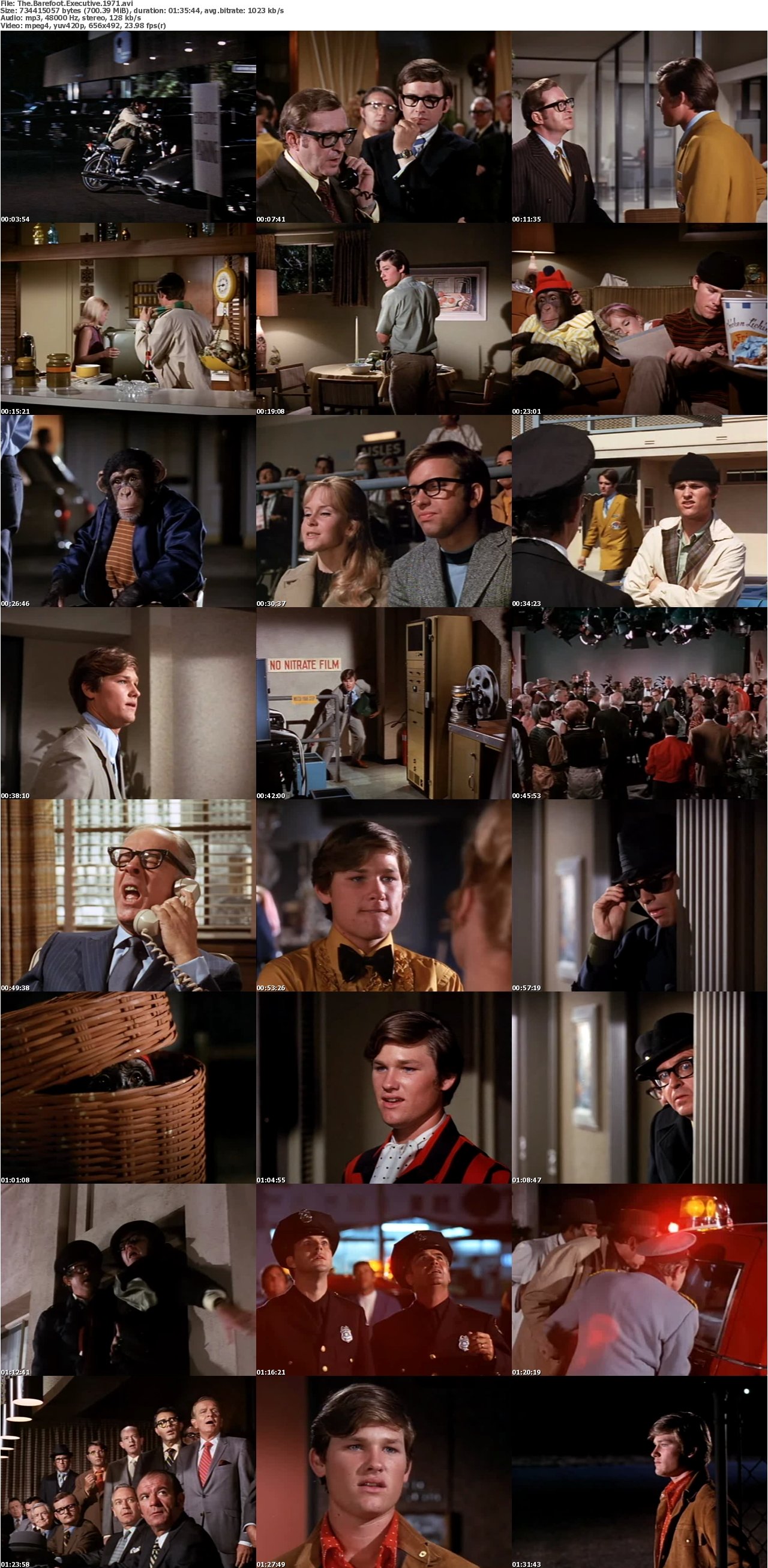 The Barefoot Executive (1971)