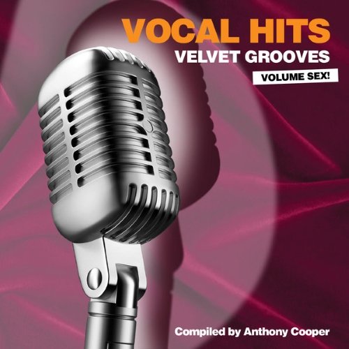 VA - Vocal Hits Velvet Grooves Volume Sex! (2015)