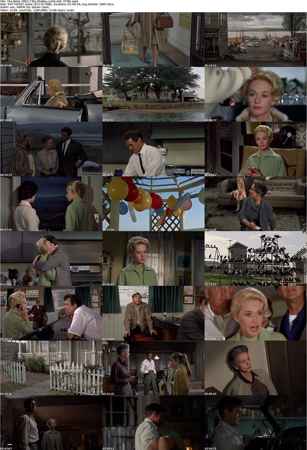 The Birds 1963 720p BluRay x264 AAC-ETRG