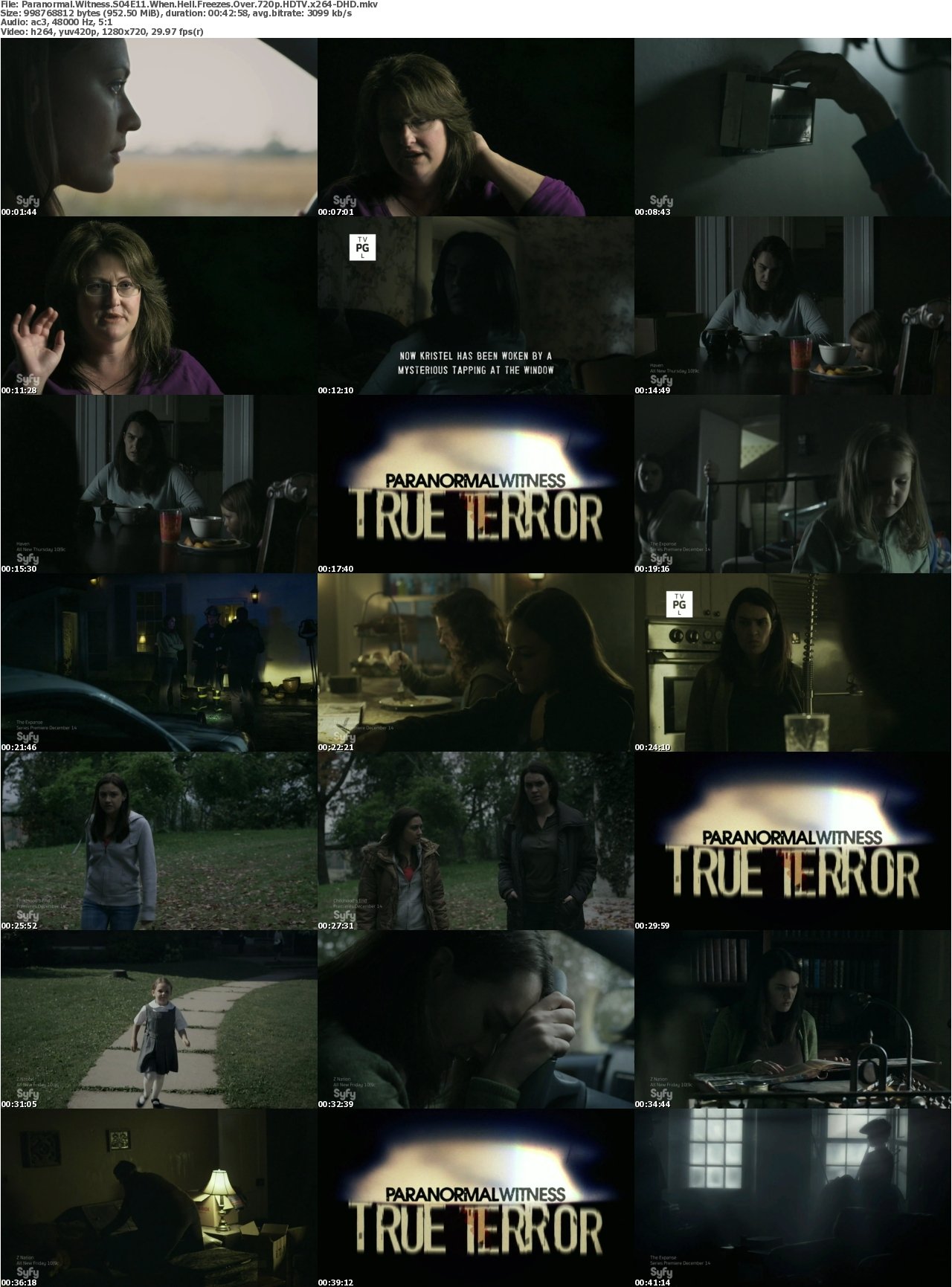 Paranormal Witness S04E11 When Hell Freezes Over 720p HDTV x264-DHD