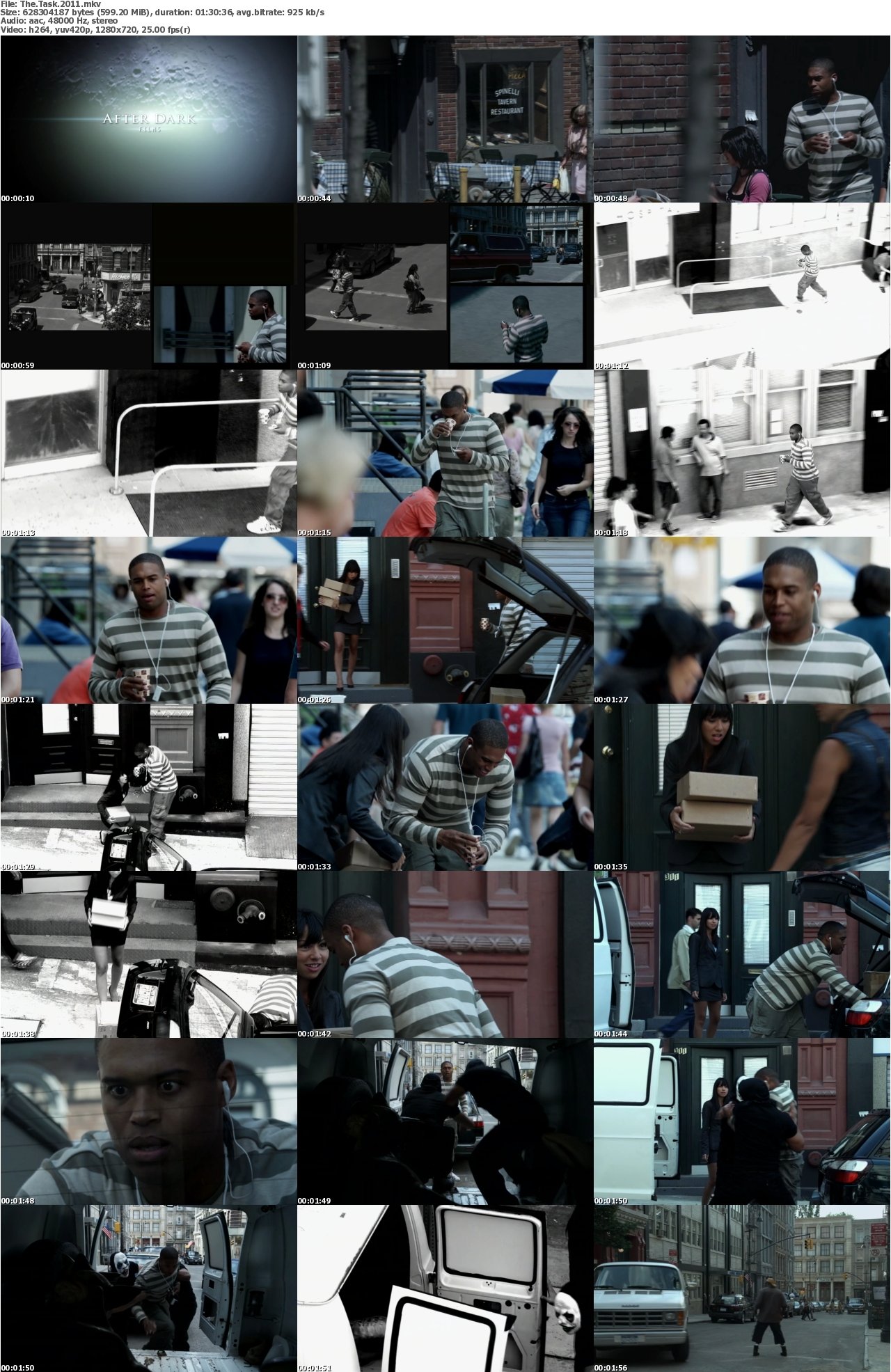 The Task (2011)