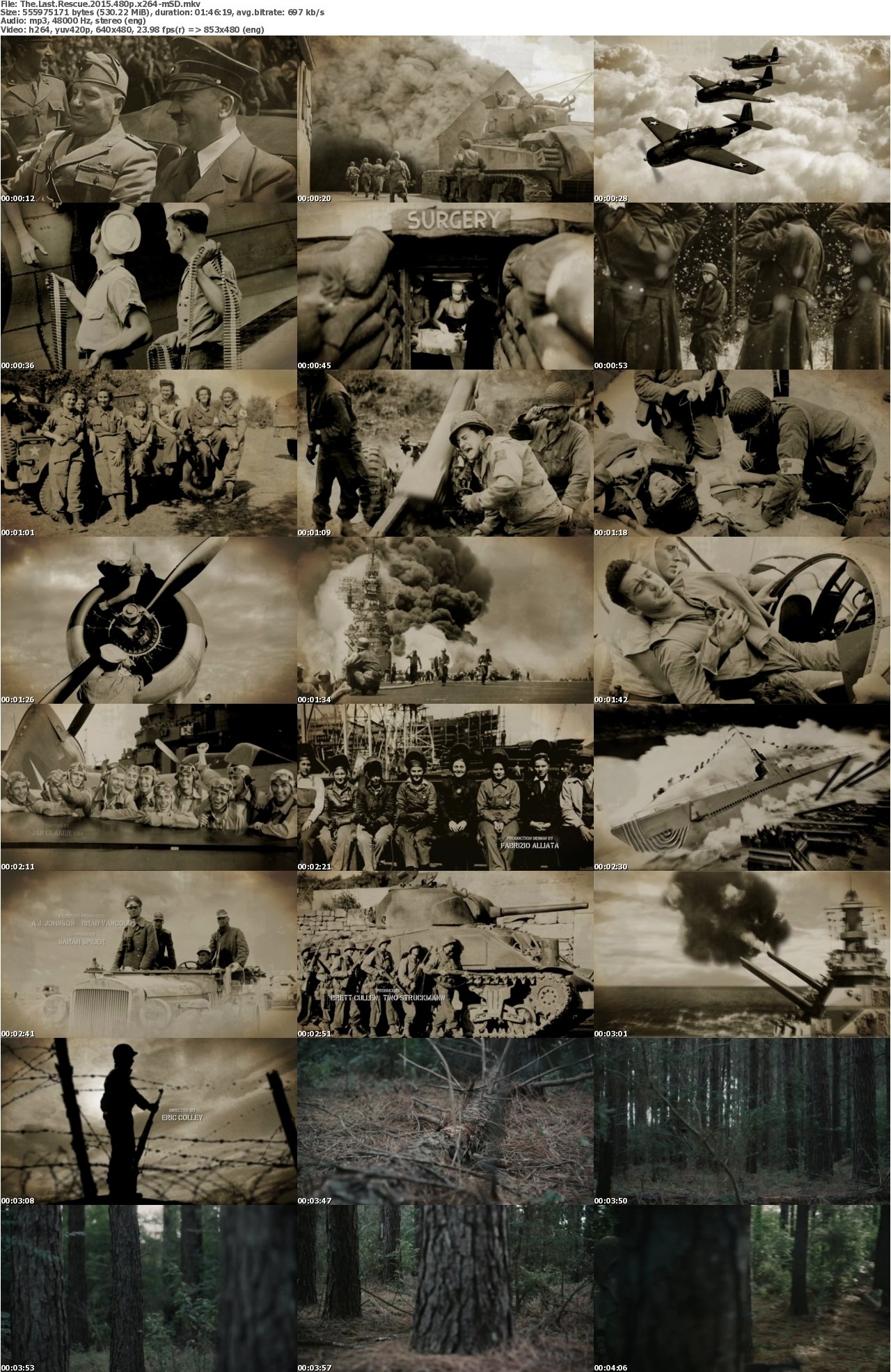 The Last Rescue 2015 480p x264-mSD