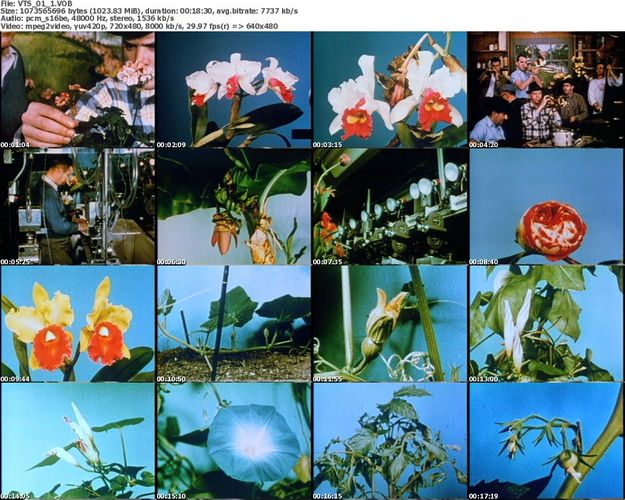 Exploring the Spectrum: The Effects of Natural and Artificial Light on Living Organisms (1975)