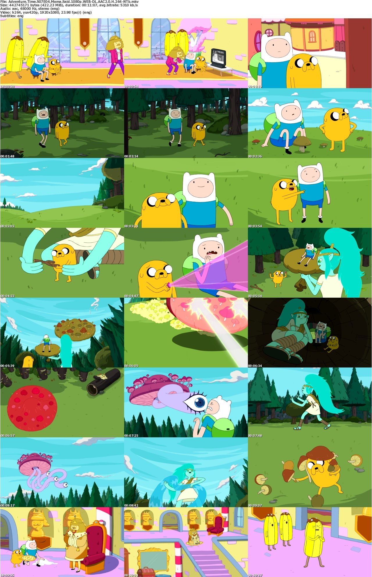 Adventure Time S07E04 Mama Said 1080p WEB-DL AAC2 0 H 264-NTb
