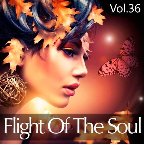 VA - Flight Of The Soul Vol.36 (2015)