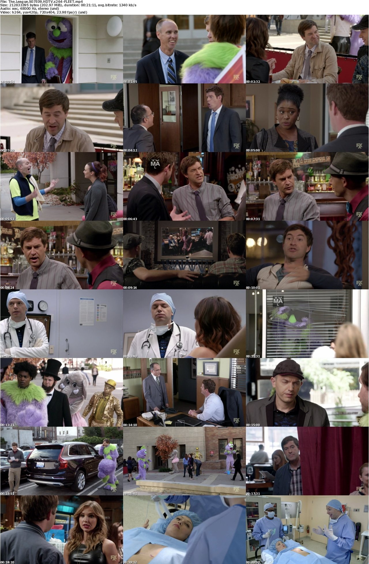The League S07E09 HDTV x264-FLEET