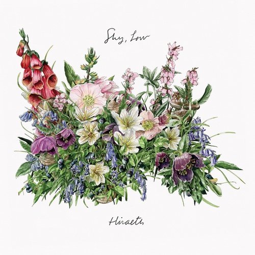 Shy, Low - Hiraeth (2015)
