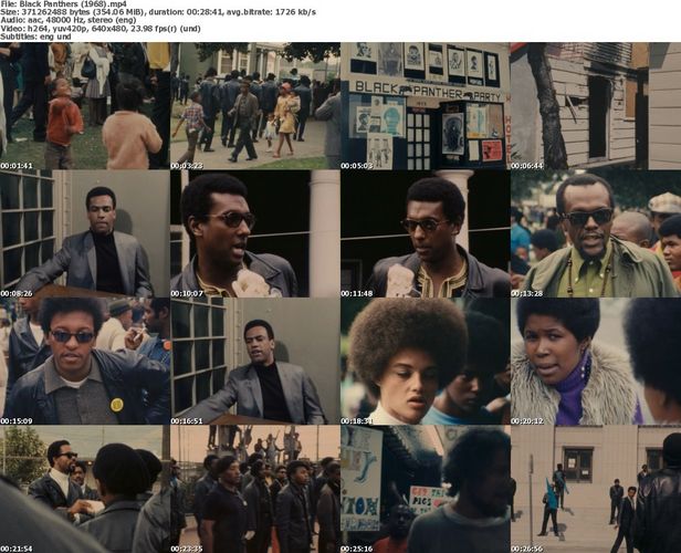 Black Panthers (1968)