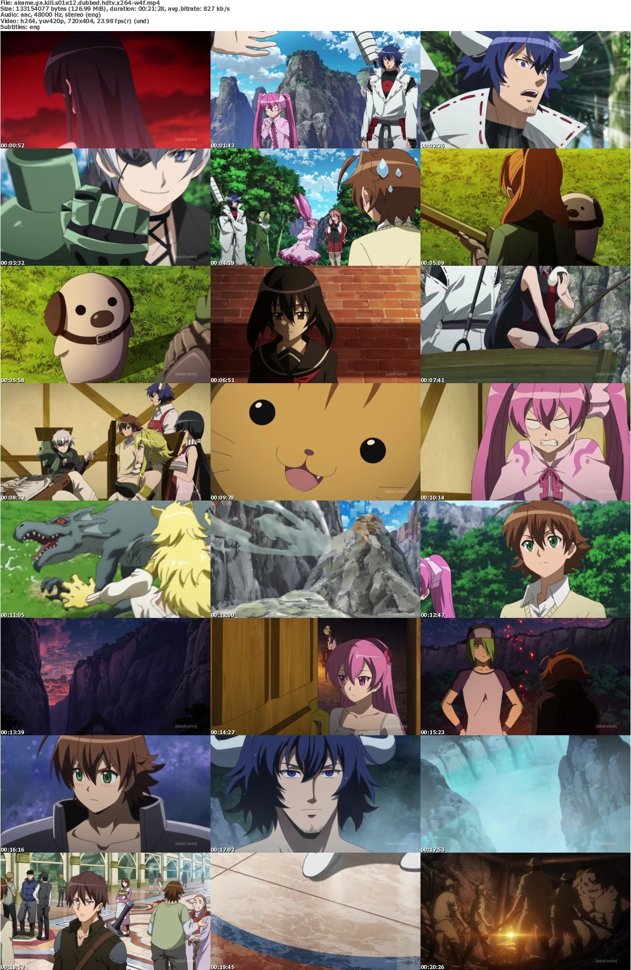 Akame Ga Kill S01E12 DUBBED HDTV x264-W4F