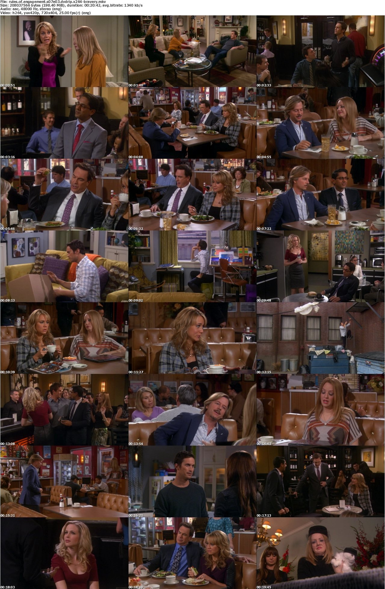 Rules of Engagement S07E03 DVDRip x264-BRAVERY