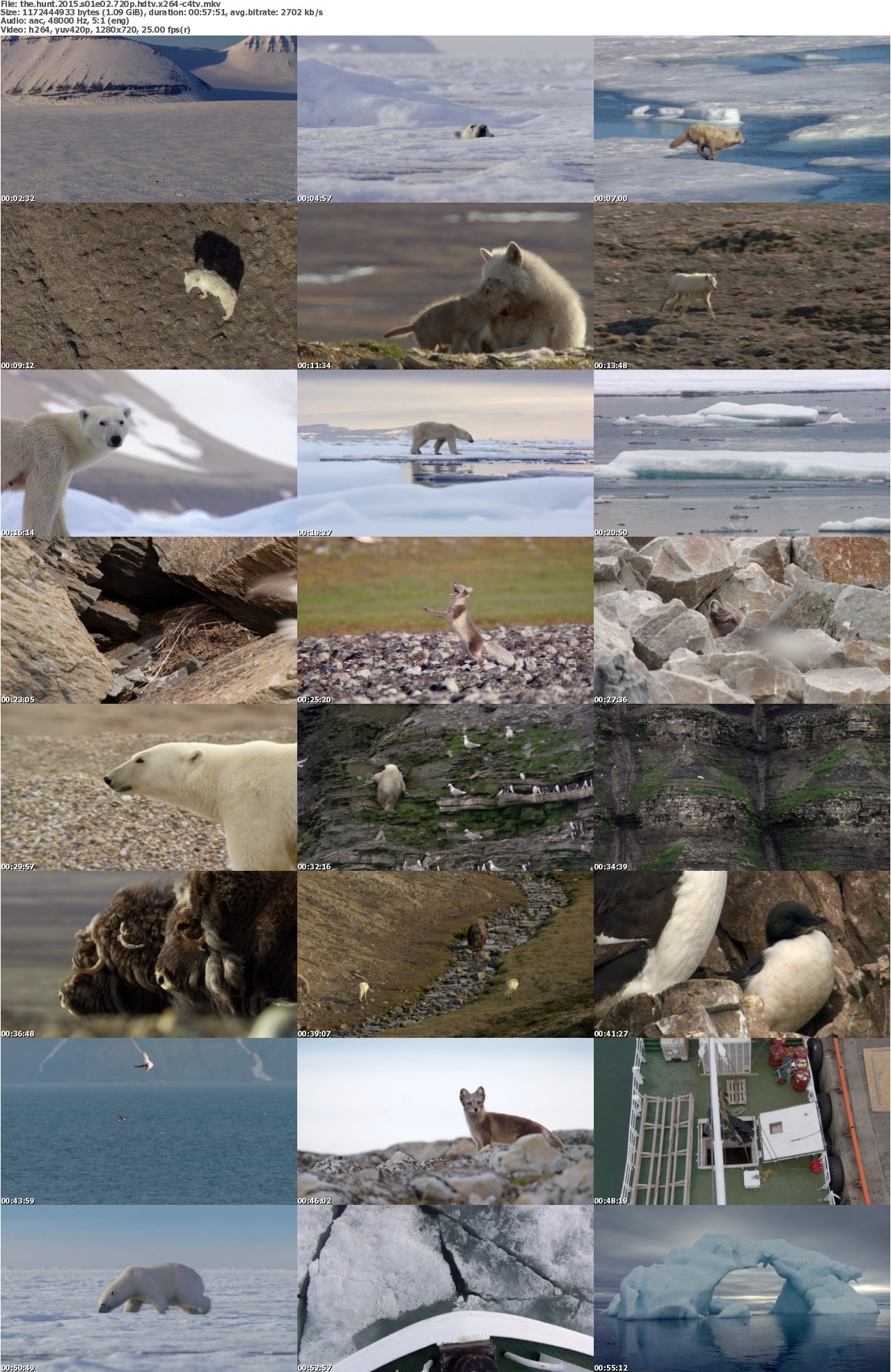 The Hunt 2015 S01E02 720p HDTV x264-C4TV