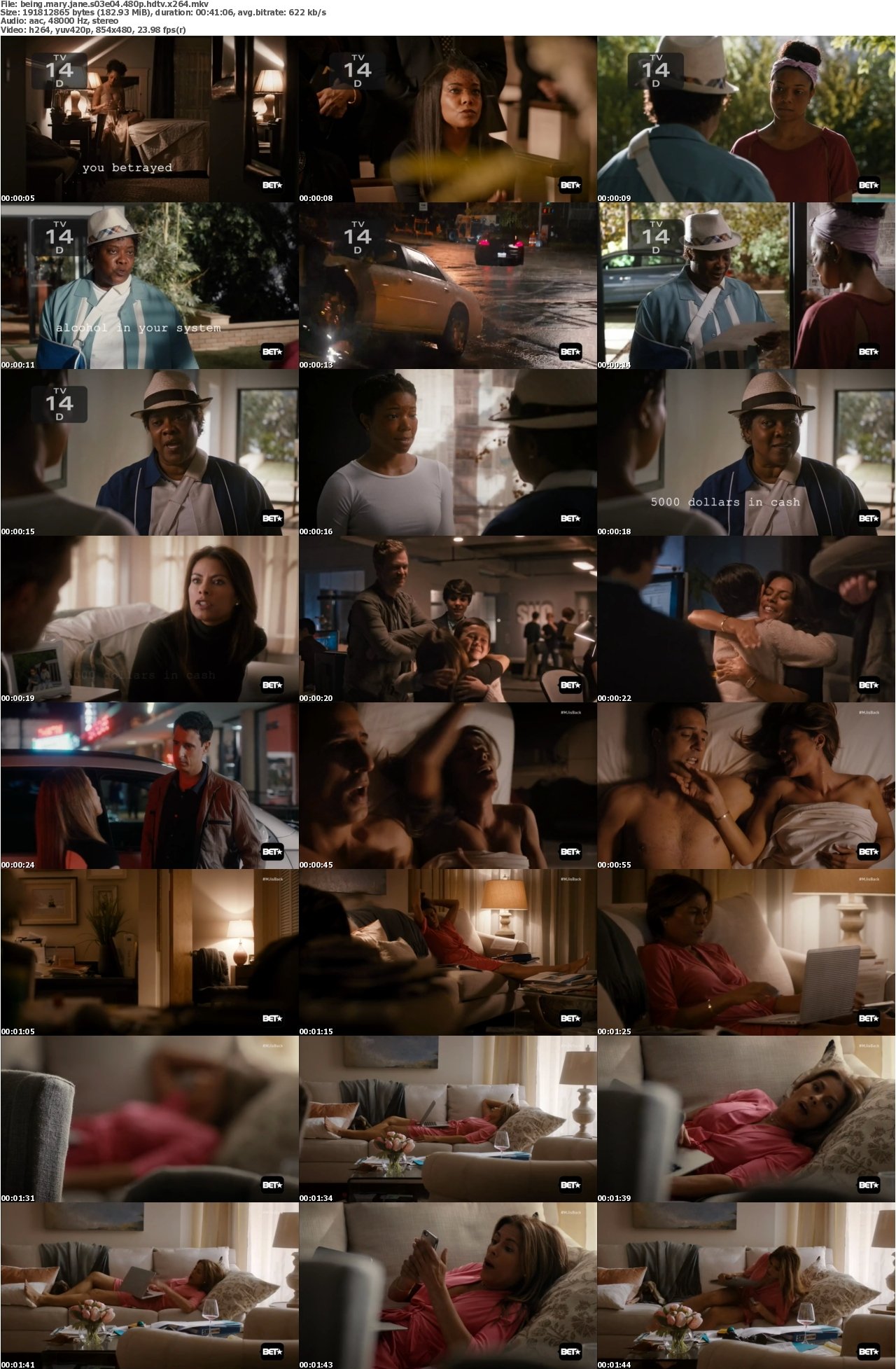Being Mary Jane S03E04 480p HDTV x264