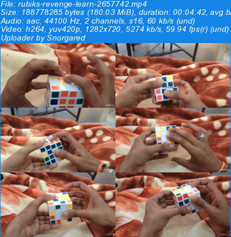 Master 4x4 Rubik's cube 