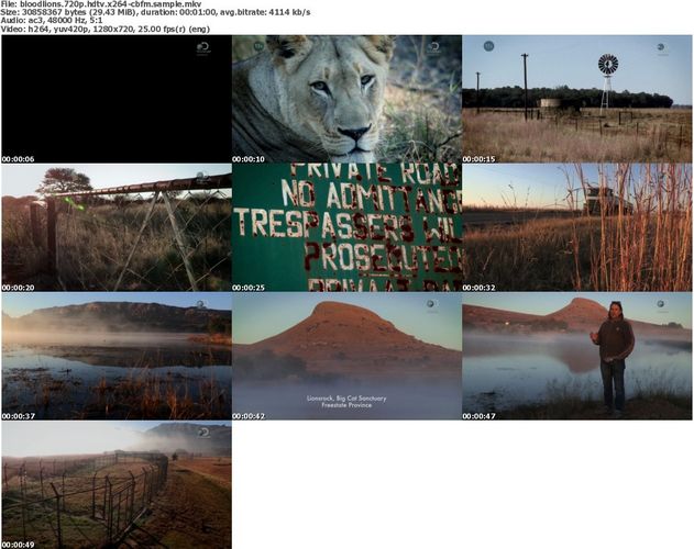 Discovery Channel - Blood Lions (2015) 720p HDTV x264-CBFM