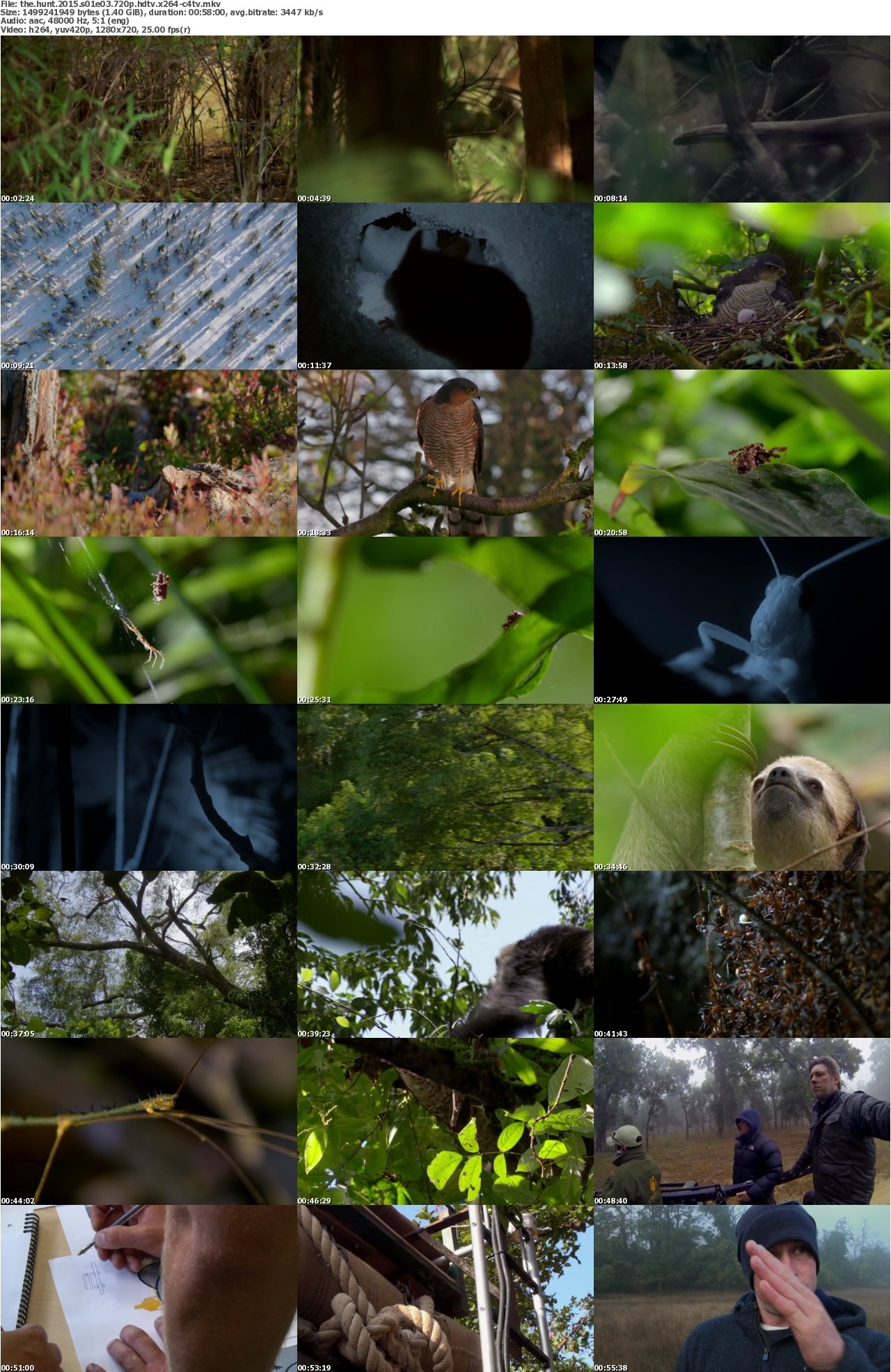 The Hunt 2015 S01E03 720p HDTV x264-C4TV