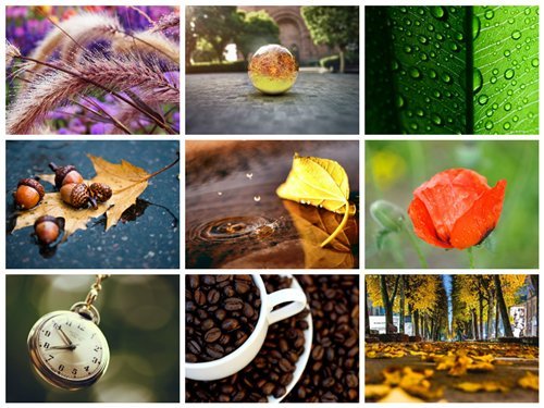 60 Beautiful Macro HD Wallpapers #2