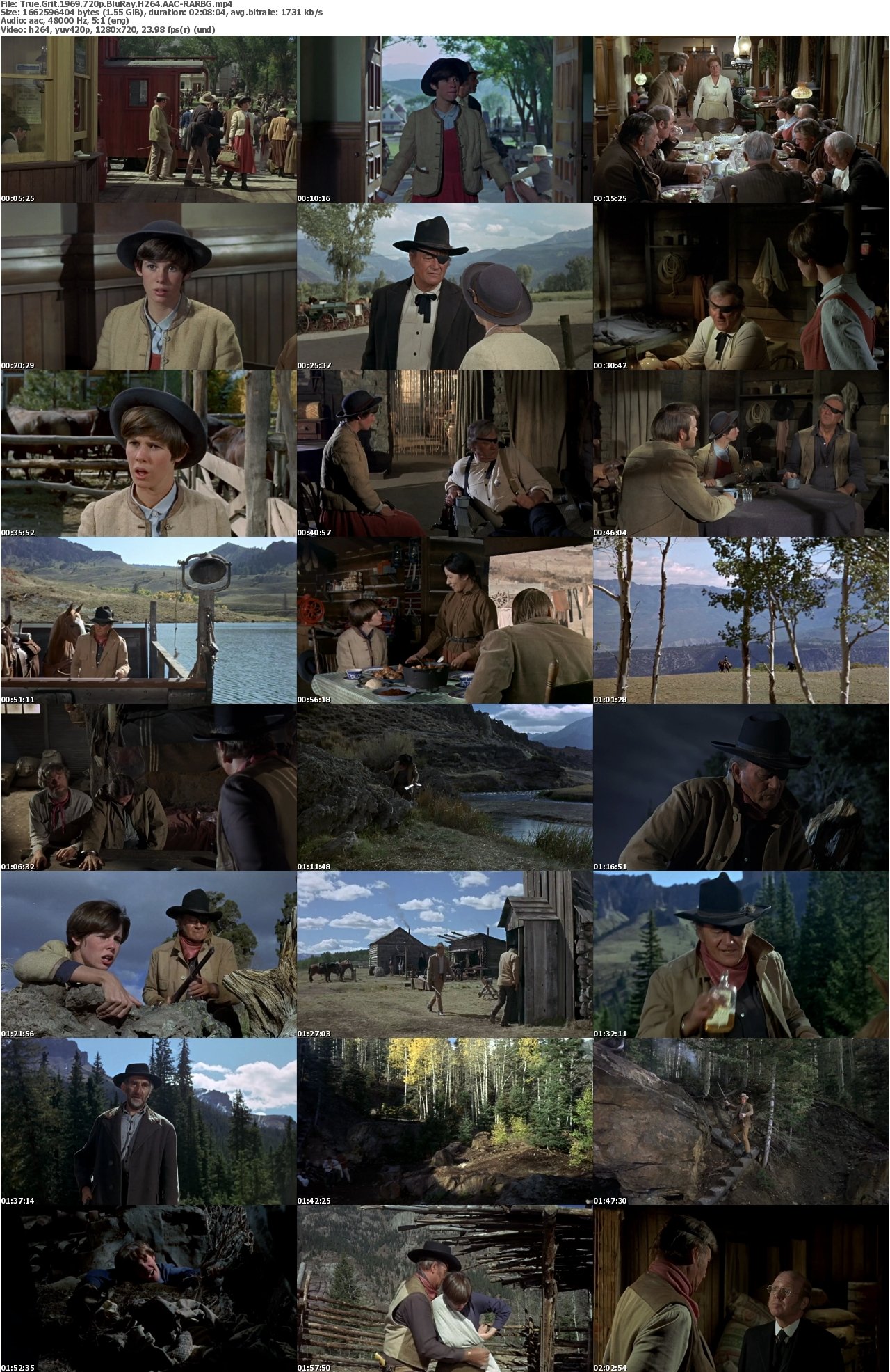 True Grit 1969 720p BluRay H264 AAC-RARBG