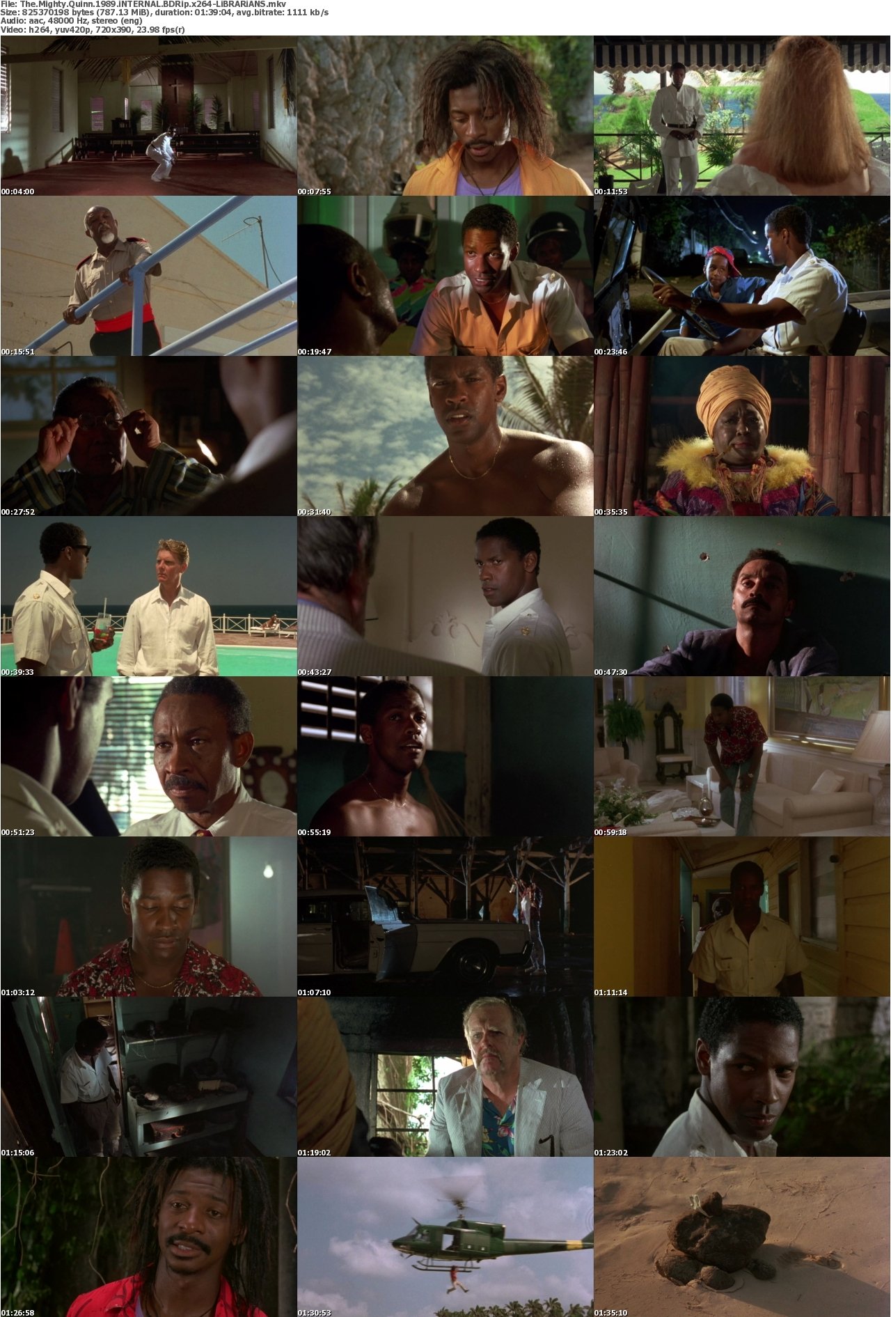 The Mighty Quinn 1989 iNTERNAL BDRip x264-LiBRARiANS