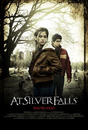 A Haunting At Silver Falls 2013 480p x264-mSD