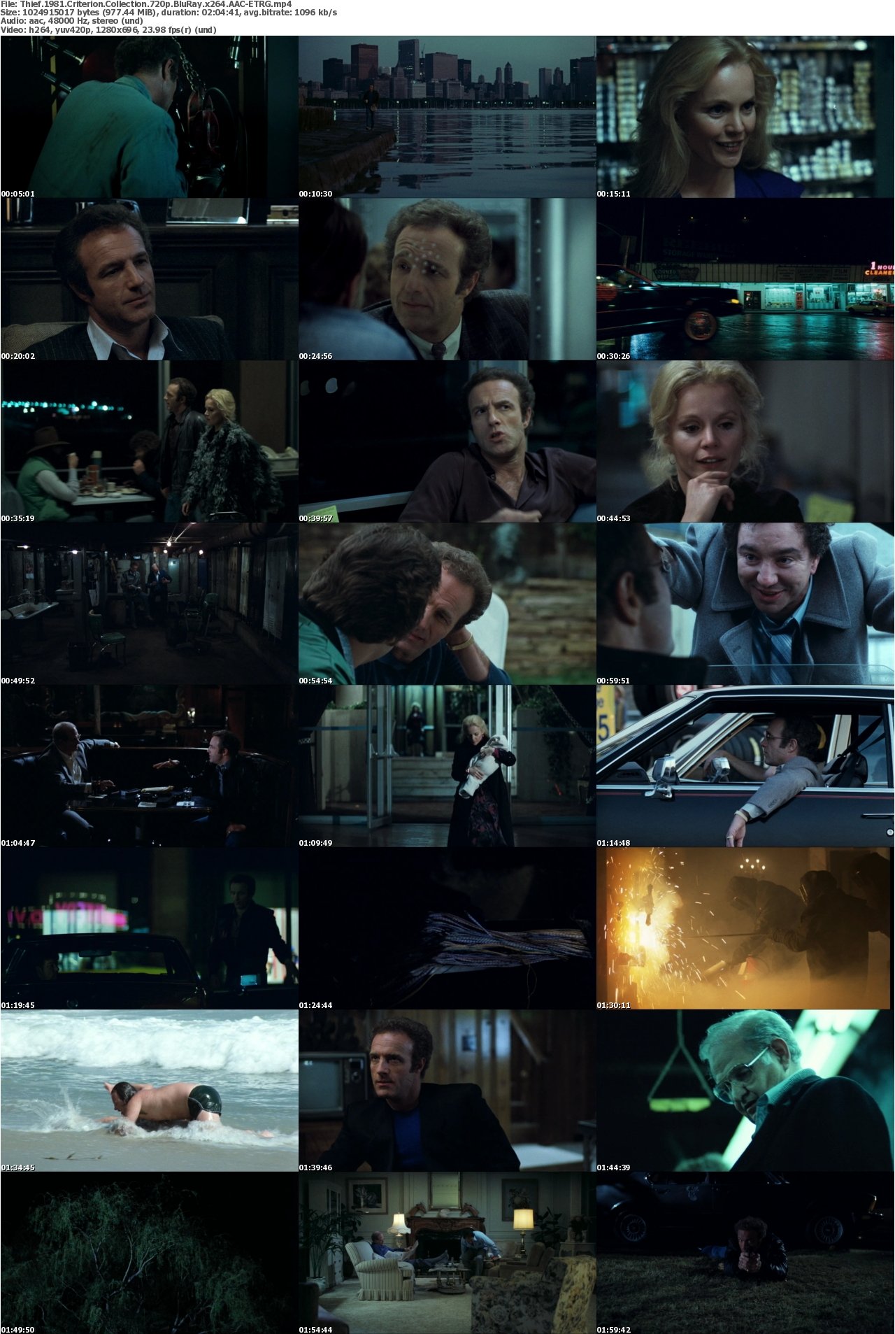 Thief 1981 Criterion Collection 720p BluRay x264 AAC-ETRG