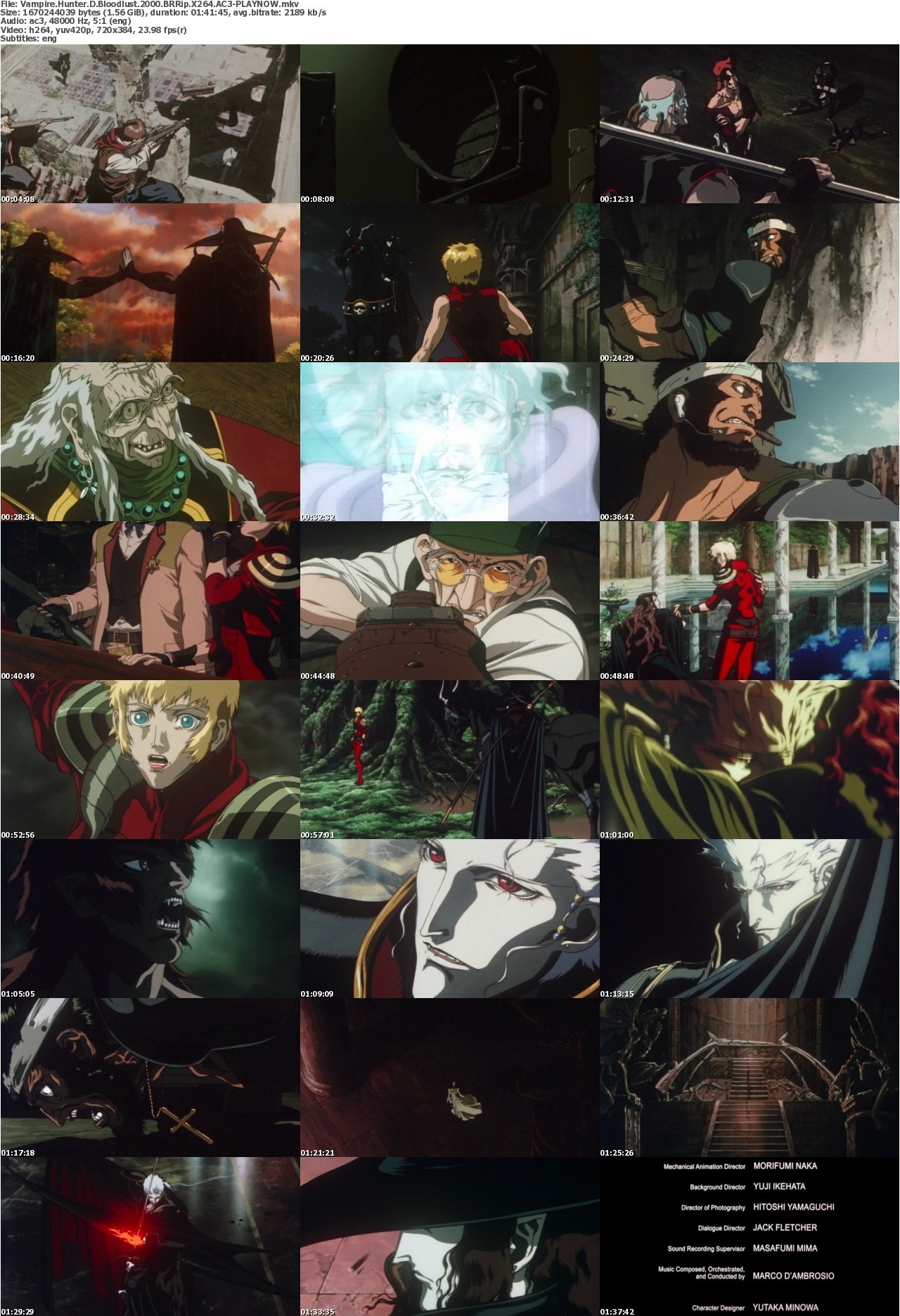 Vampire Hunter D Bloodlust 2000 BRRip X264 AC3-PLAYNOW