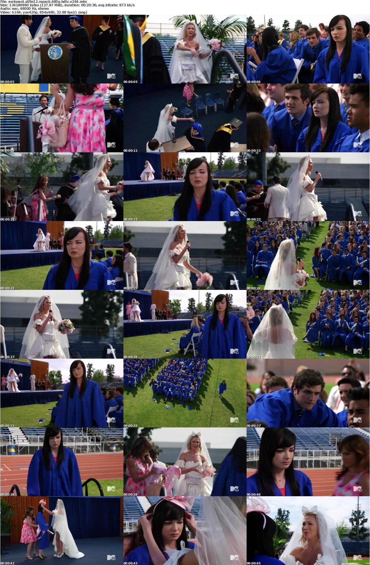 Awkward S05E12 REPACK 480p HDTV x264
