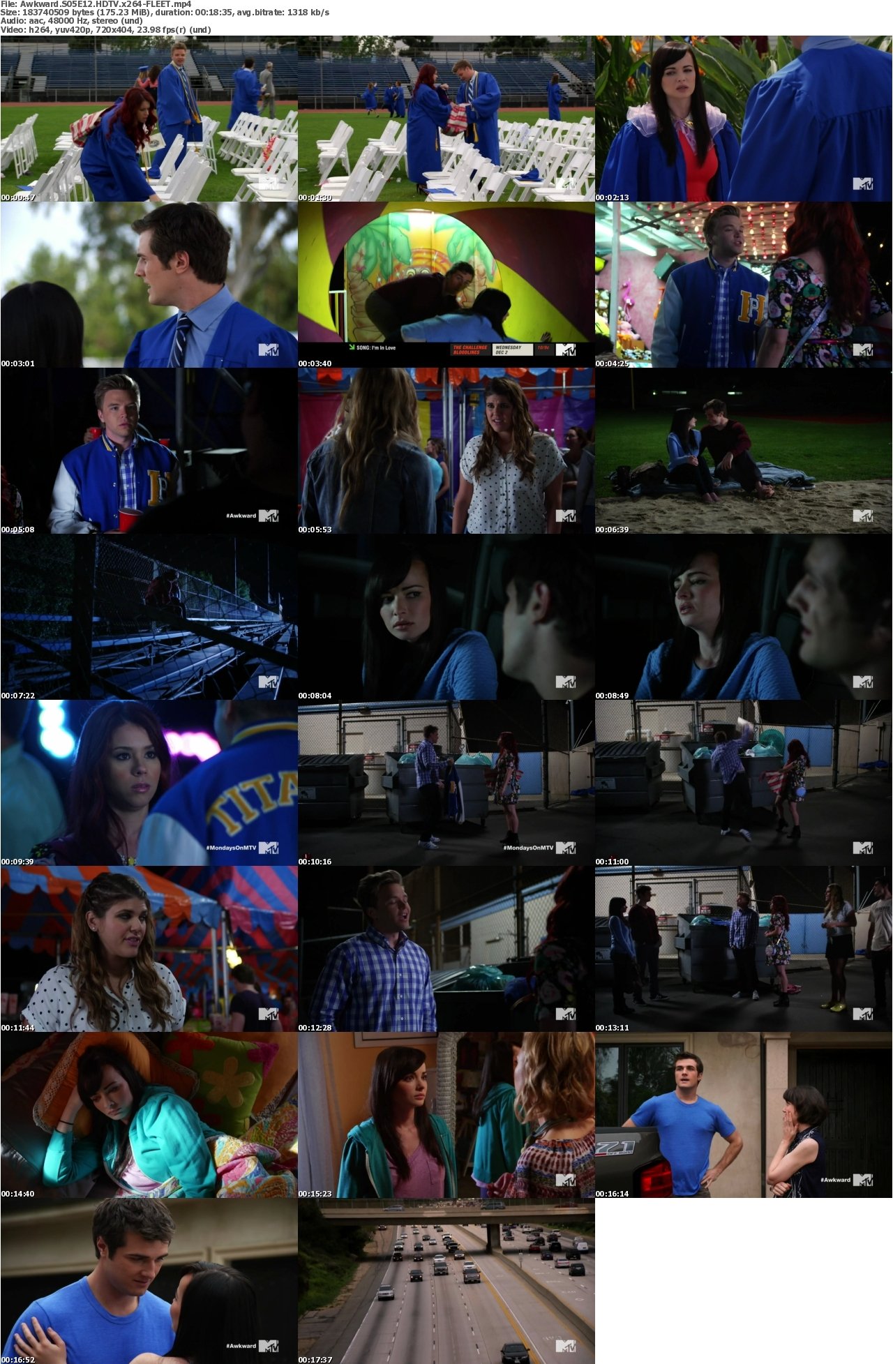 Awkward S05E12 HDTV x264-FLEET