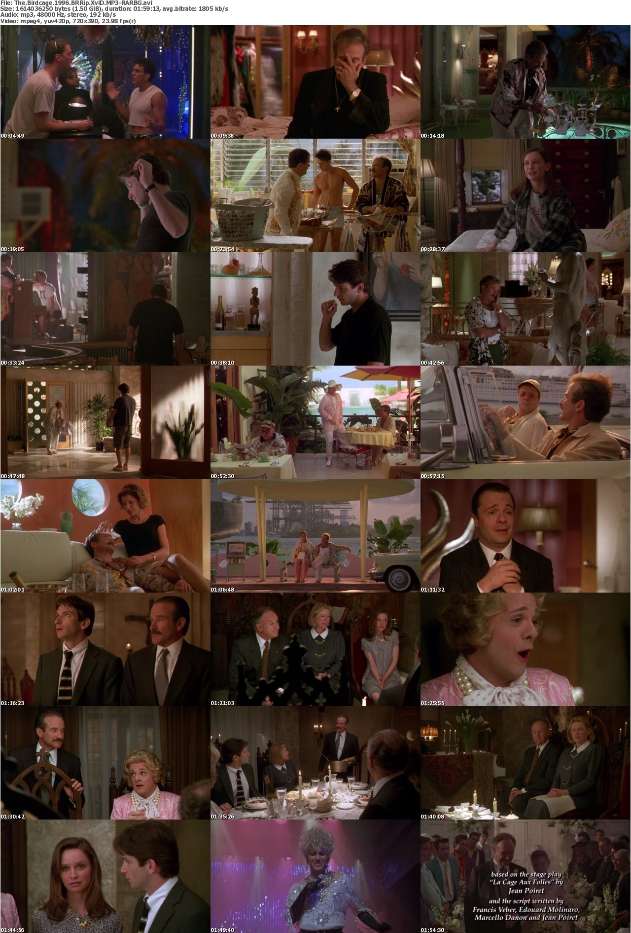 The Birdcage 1996 BRRip XviD MP3-RARBG
