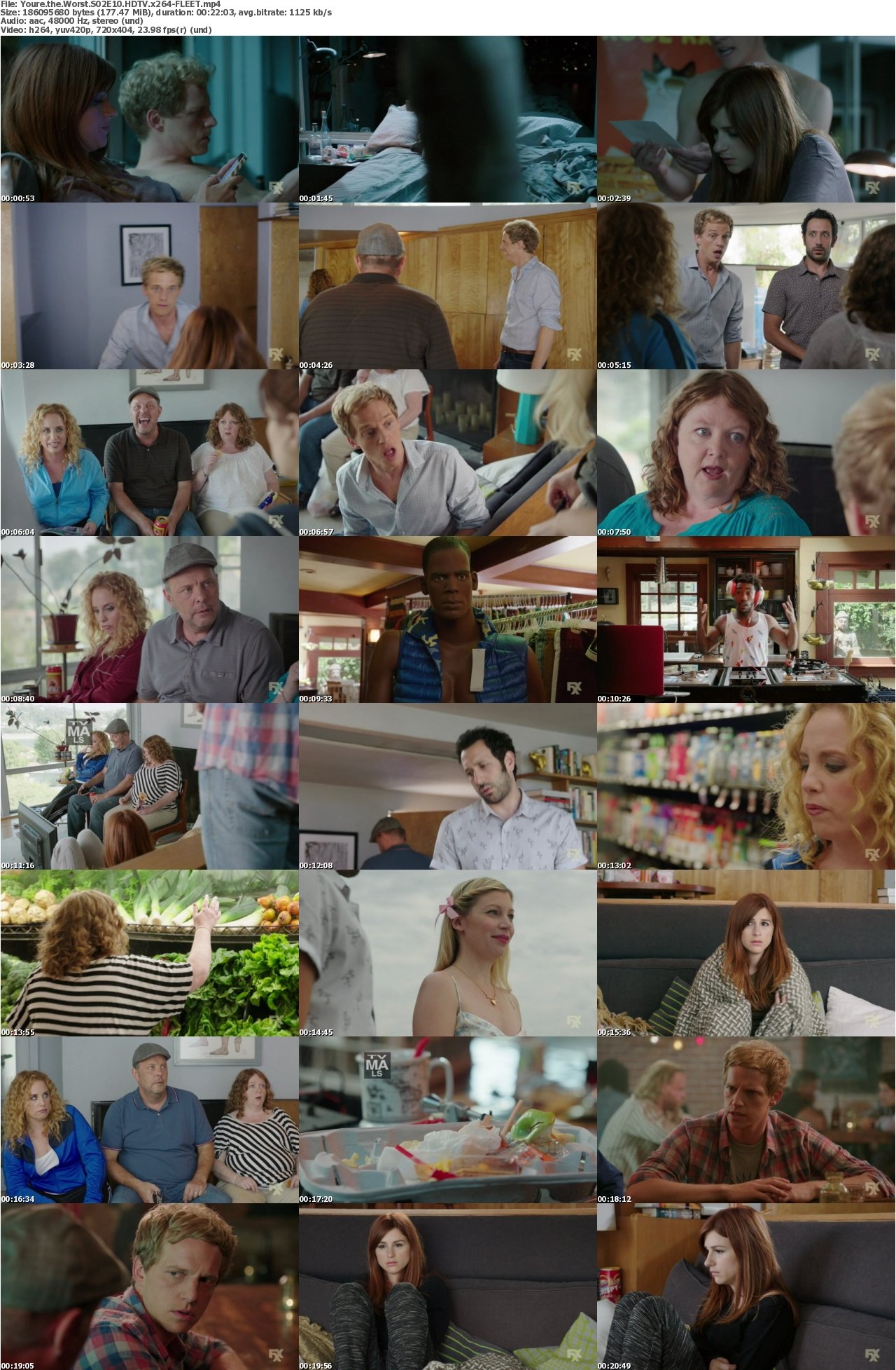 Youre the Worst S02E10 HDTV x264-FLEET