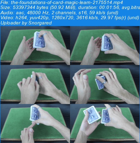 Shuffle and Cut Cards Like a Pro
