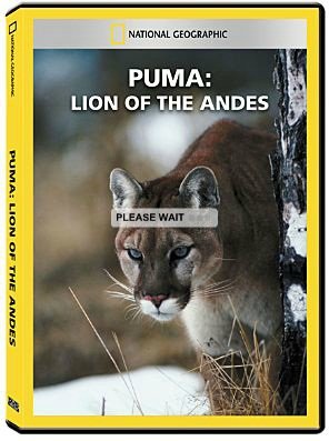 National Geographic - Puma: Lion of the Andes (2015) 720p HDTV x264-SQUEAK