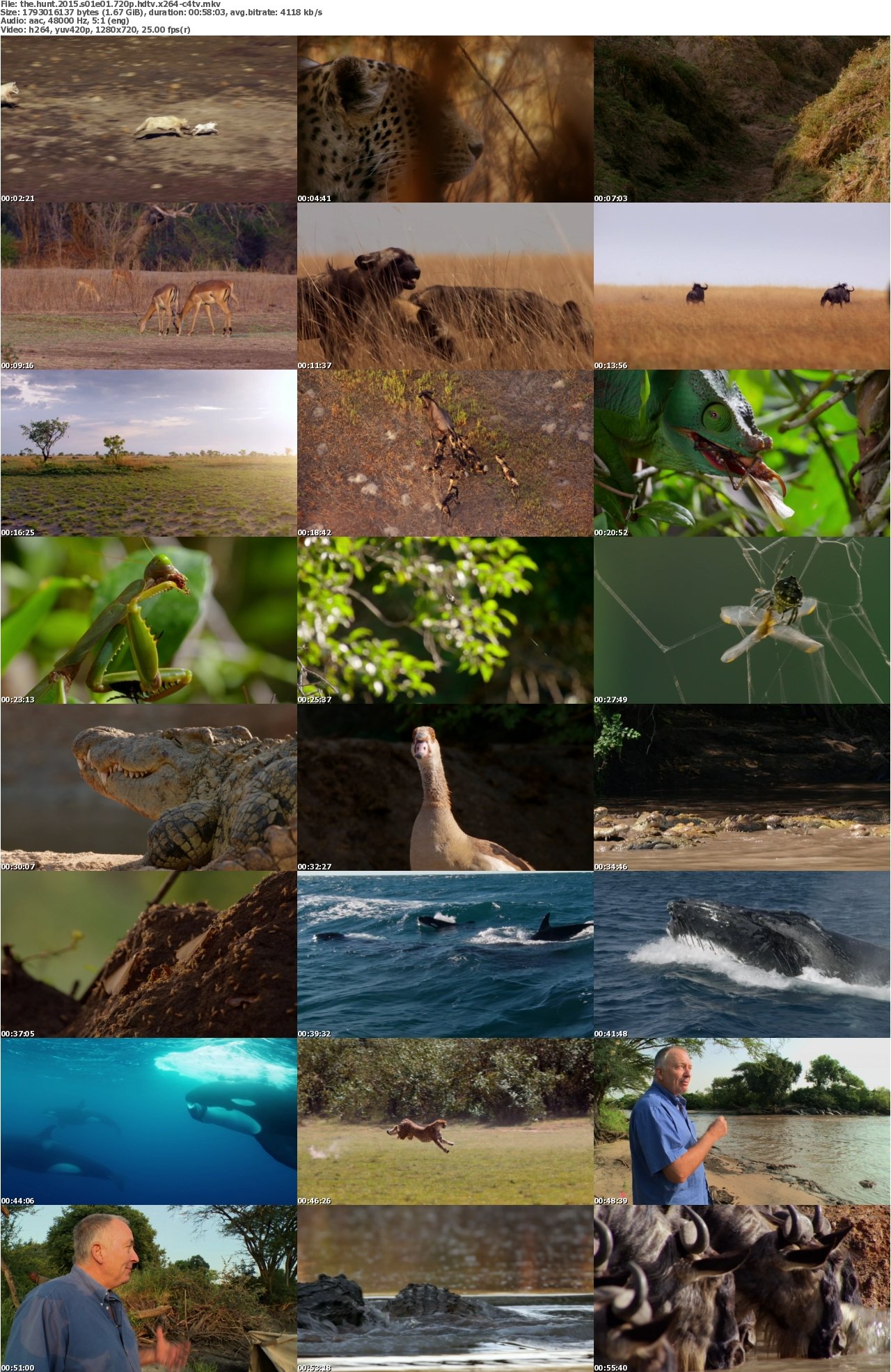 The Hunt 2015 S01E01 720p HDTV x264-C4TV