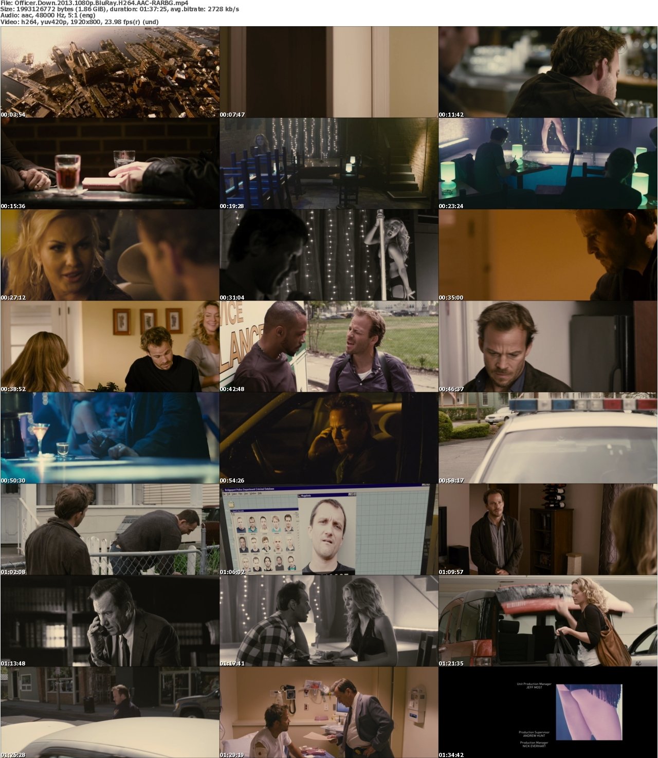 Officer Down 2013 1080p BluRay H264 AAC-RARBG