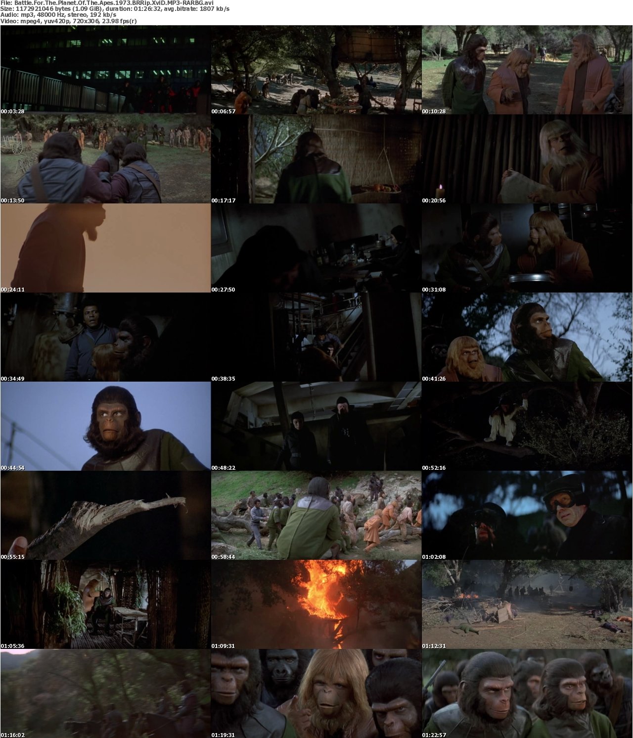 Battle For The Planet Of The Apes 1973 BRRip XviD MP3-RARBG