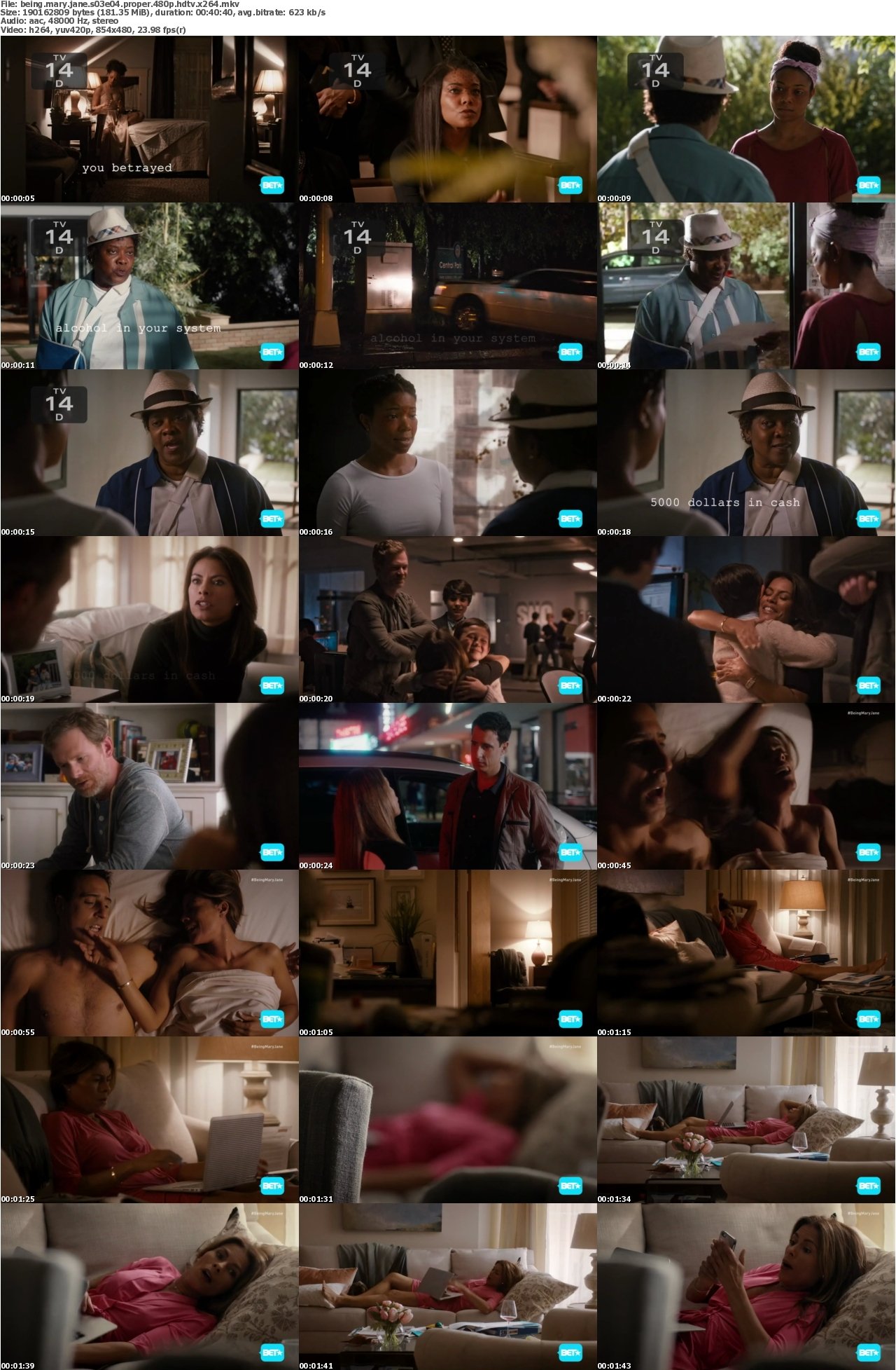 Being Mary Jane S03E04 PROPER 480p HDTV x264