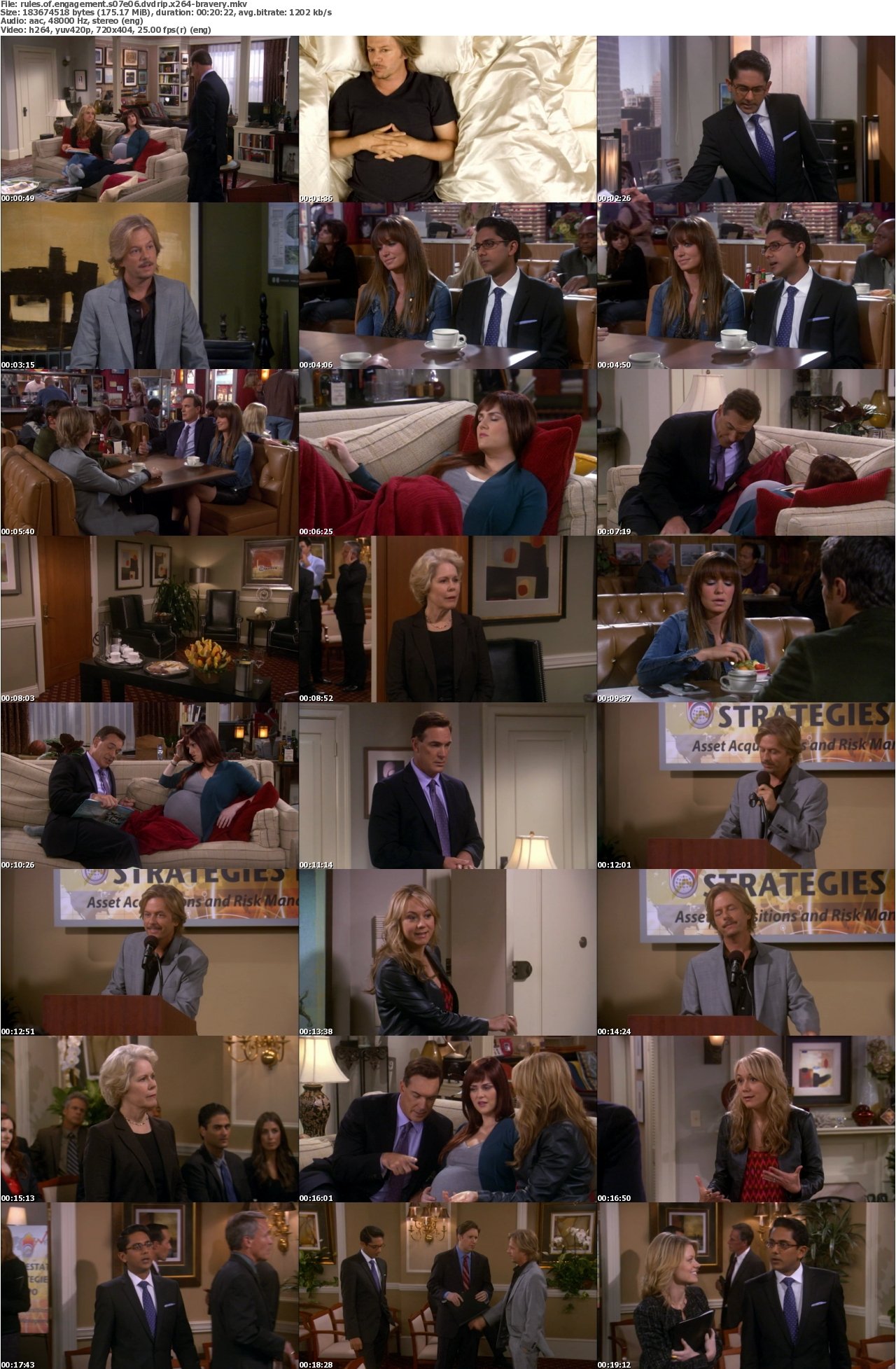 Rules of Engagement S07E06 DVDRip x264-BRAVERY