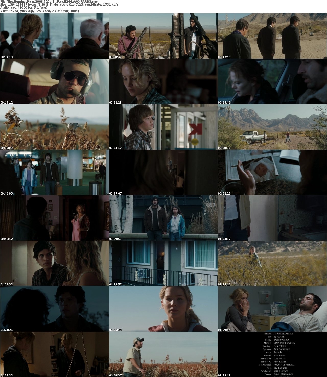 The Burning Plain 2008 720p BluRay H264 AAC-RARBG
