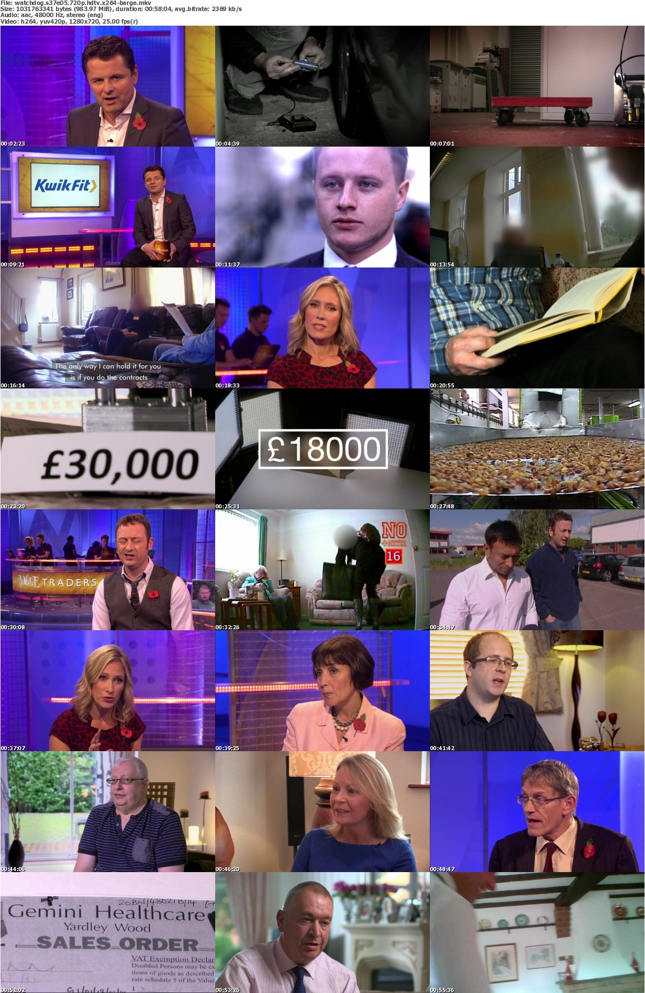 Watchdog S37E05 720p HDTV x264-BARGE
