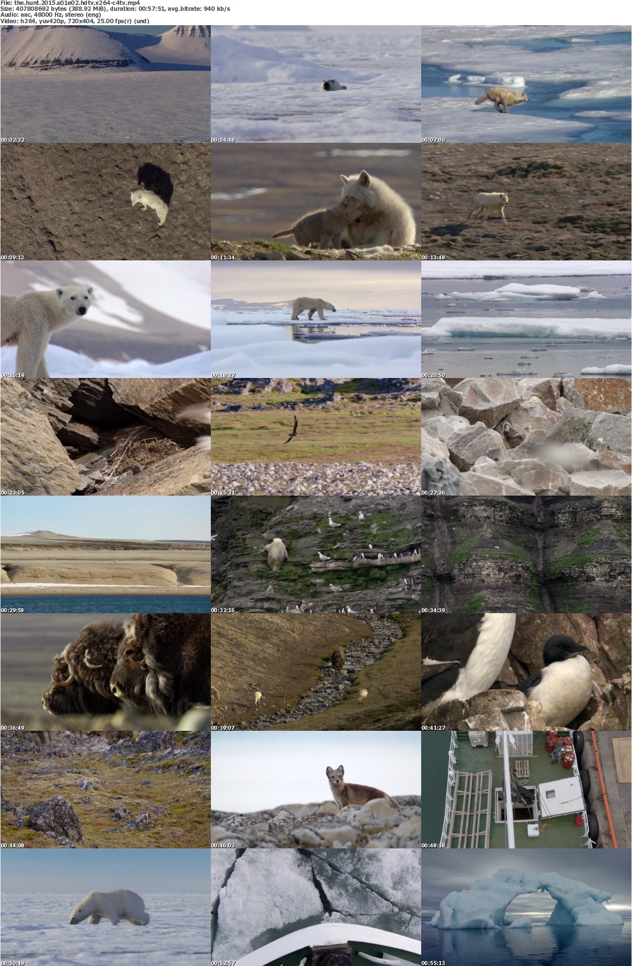 The Hunt 2015 S01E02 HDTV x264-C4TV