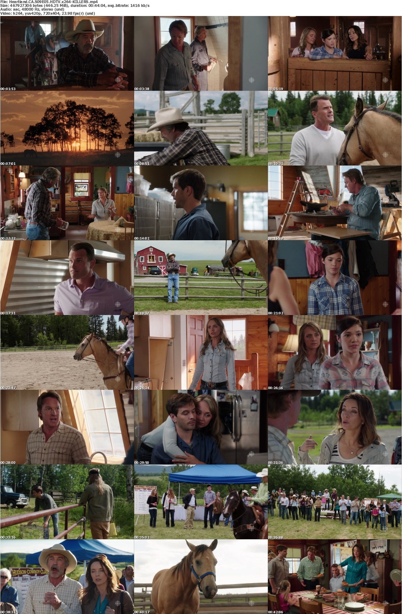 Heartland CA S09E05 HDTV x264-KILLERS